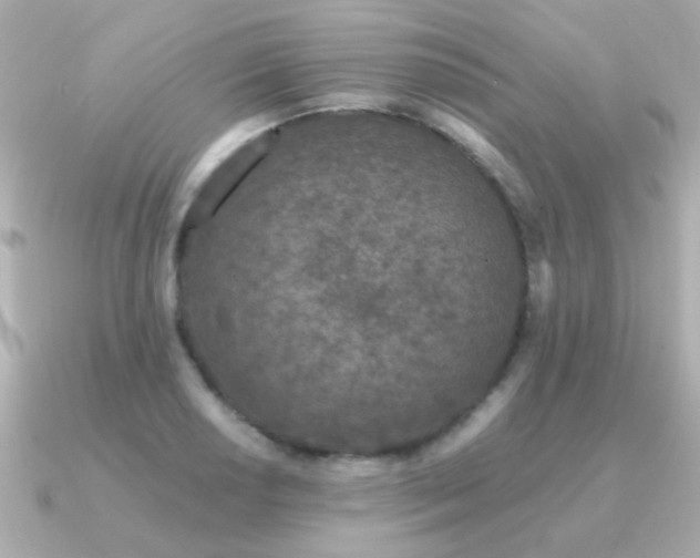 X0000091311034200708101500