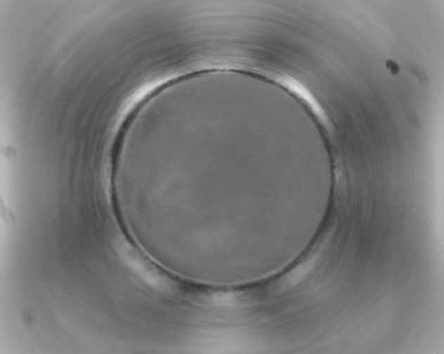 X0000091311035200708101500