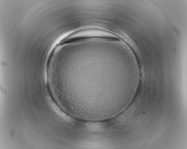 X0000091311036200708101500