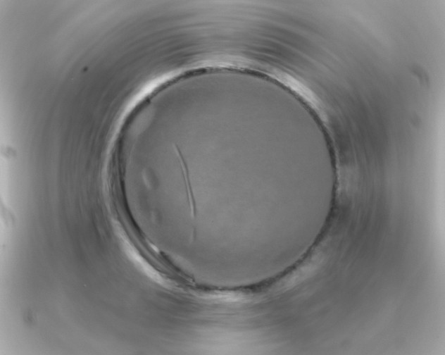 X0000091311037200708101500