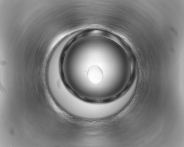 X0000091311038200708101500