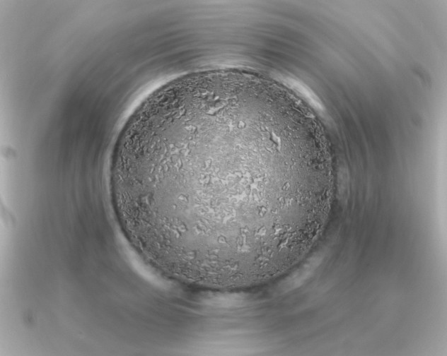 X0000091311039200708101500
