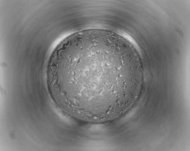 X0000091311043200708101500