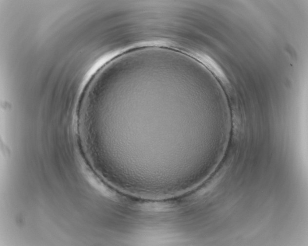 X0000091311044200708101500