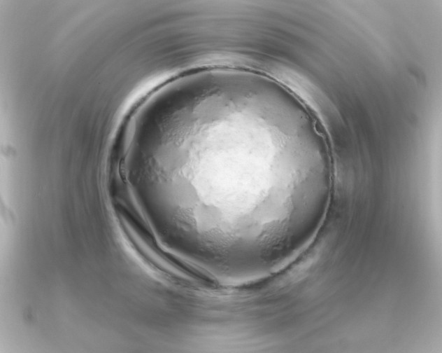 X0000091311045200708101500