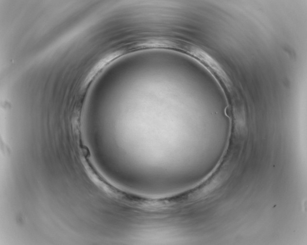 X0000091311049200708101500