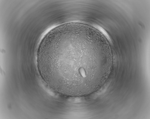 X0000091311051200708101500