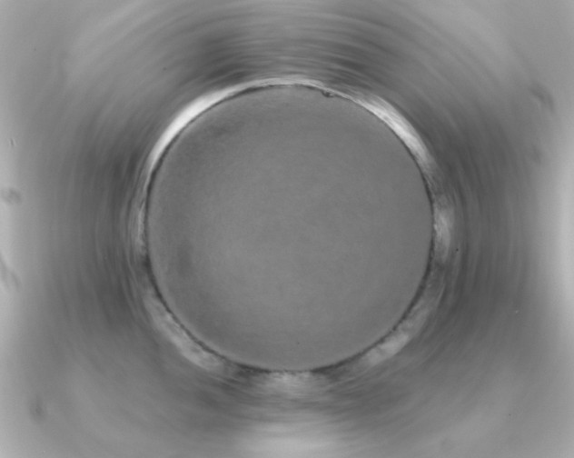 X0000091311052200708101500