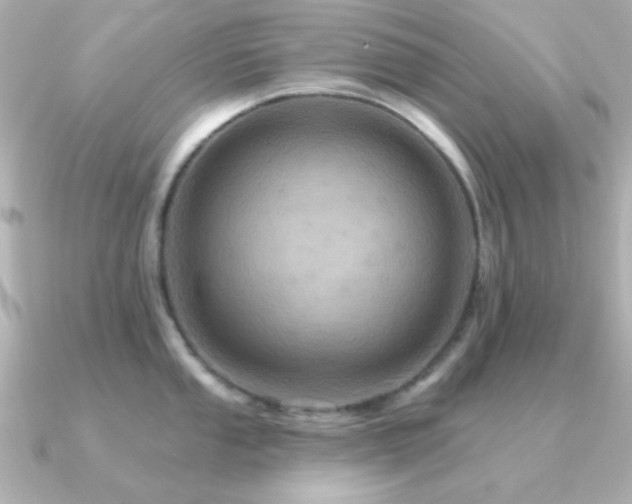 X0000091311053200708101500