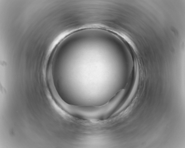 X0000091311054200708101500