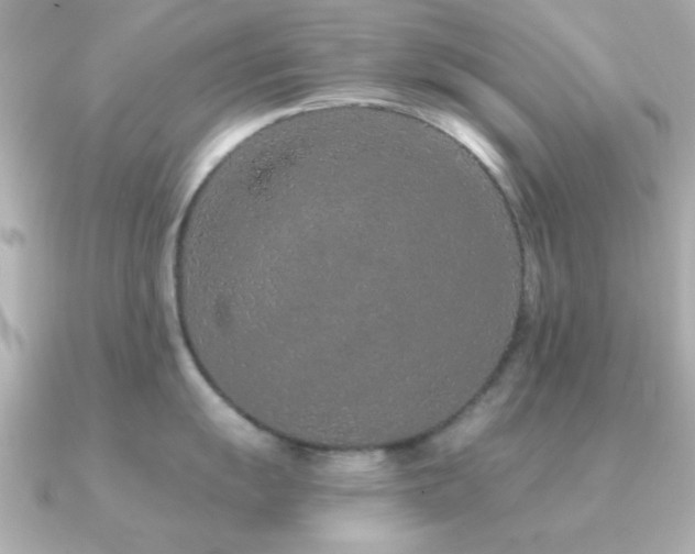 X0000091311055200708101500