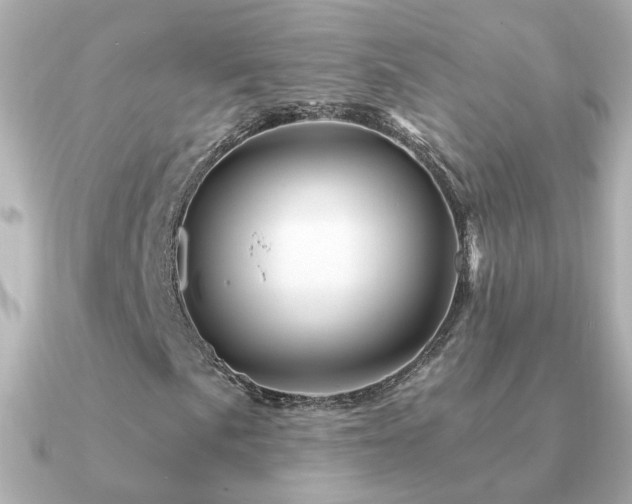 X0000091311057200708101459