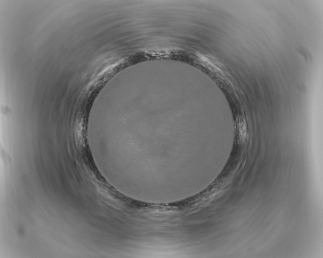 X0000091311060200708101459