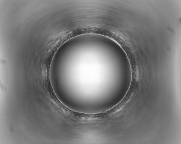 X0000091311061200708101459