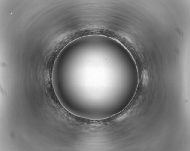 X0000091311062200708101459