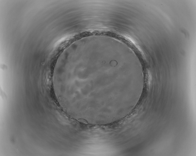 X0000091311063200708101459