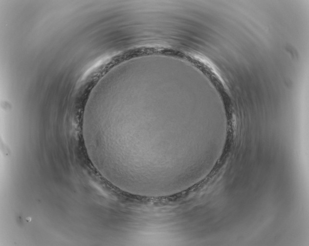 X0000091311064200708101459