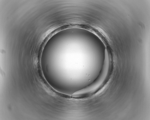 X0000091311065200708101459