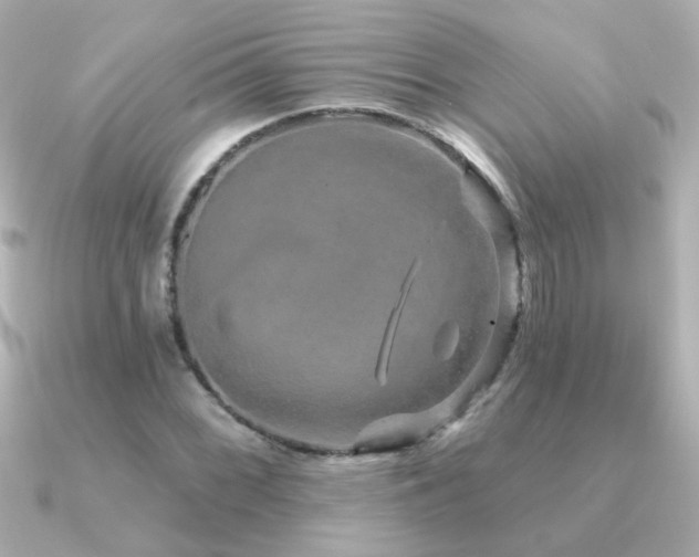 X0000091311068200708101459
