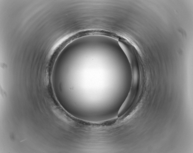 X0000091311069200708101459