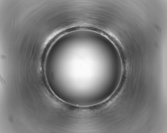 X0000091311070200708101459
