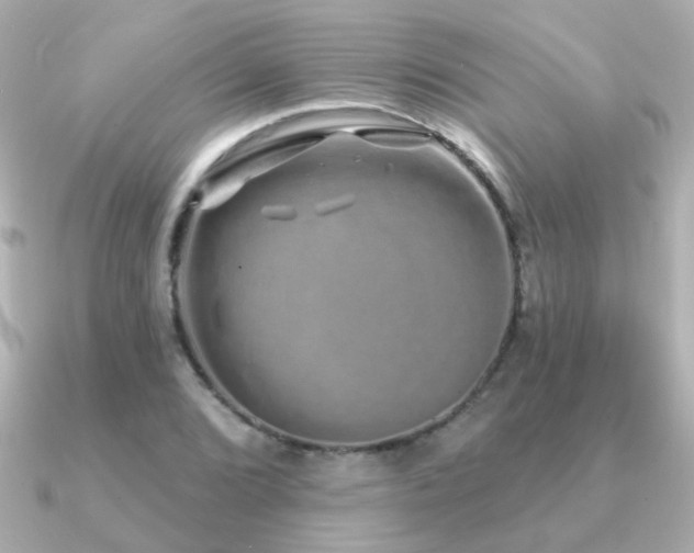 X0000091311072200708101459