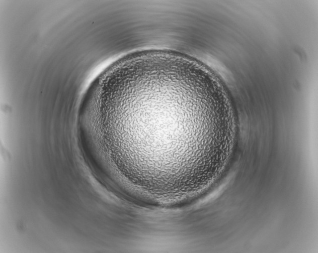 X0000091311077200708101459