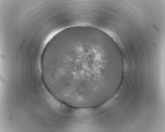 X0000091311078200708101459