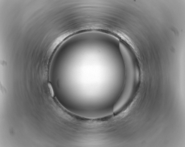 X0000091311081200708101459