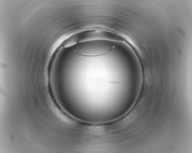 X0000091311082200708101459