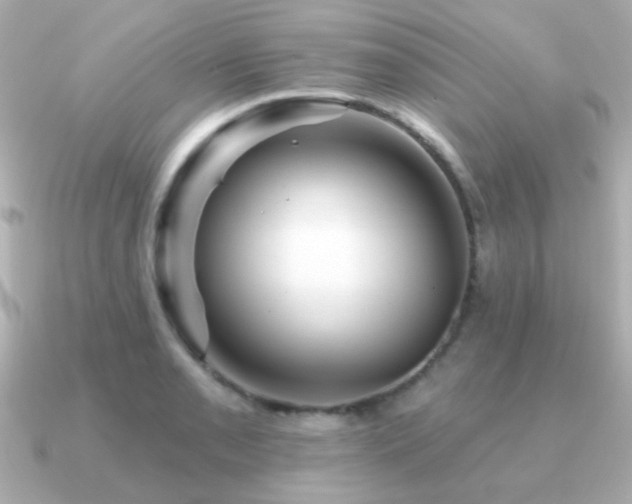 X0000091311085200708101459