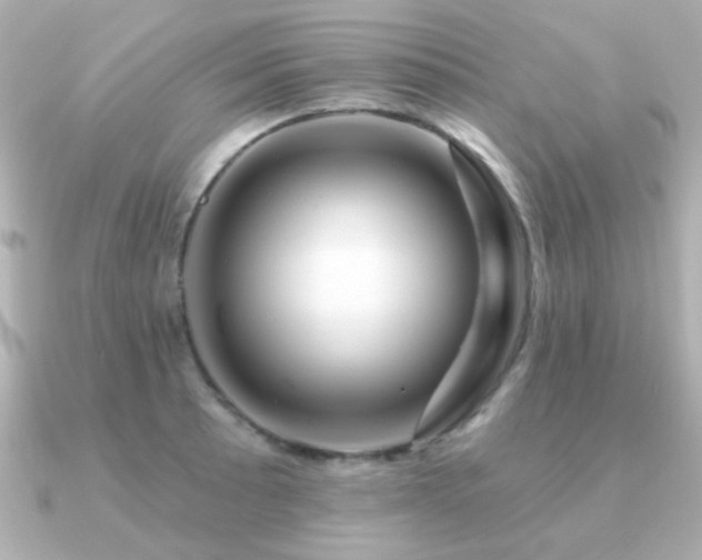 X0000091311089200708101459