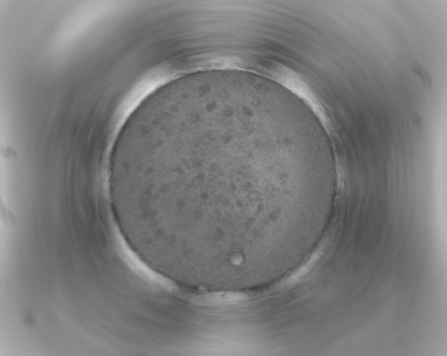 X0000091311090200708101459