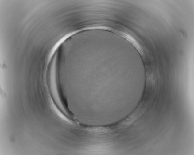 X0000091311092200708101459