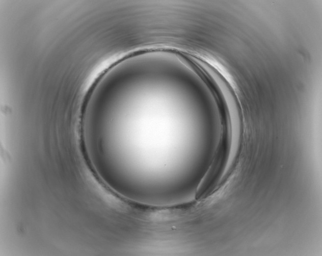X0000091311093200708101459