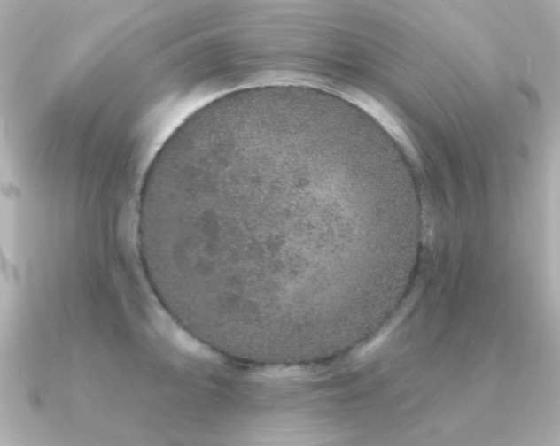 X0000091311094200708101459