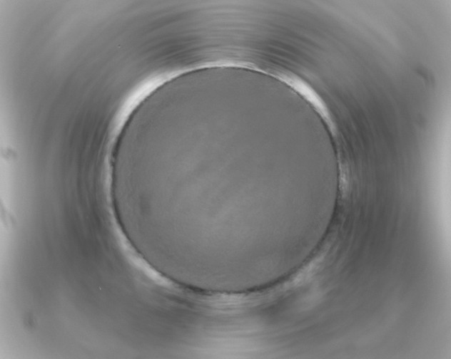 X0000091311096200708101459