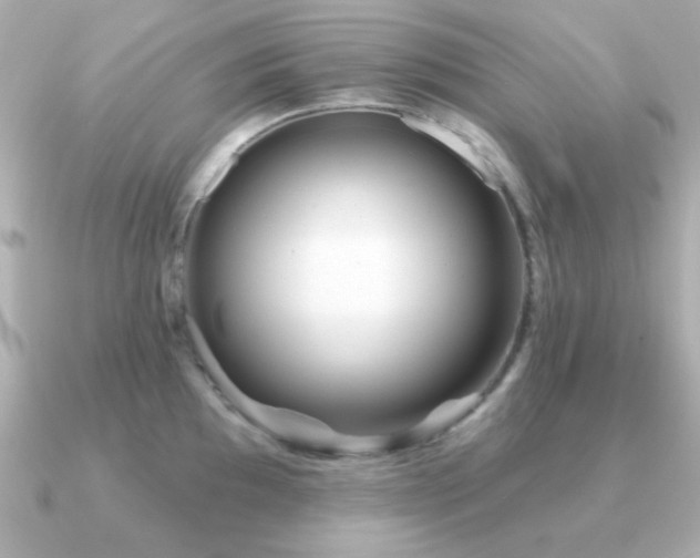 X0000091311097200708101459