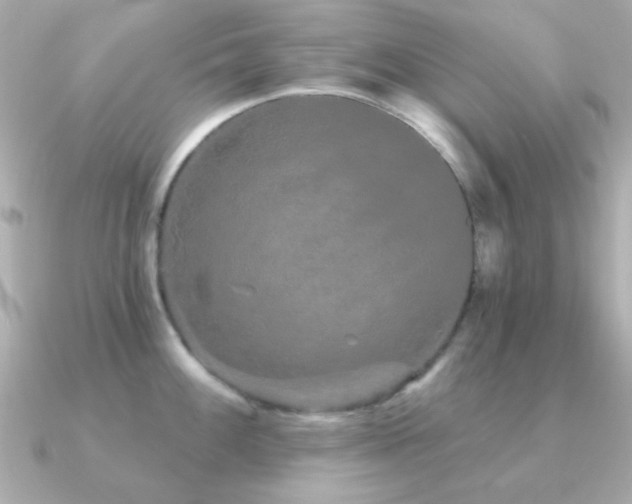 X0000091311100200708101459