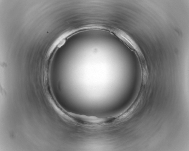 X0000091311101200708101459