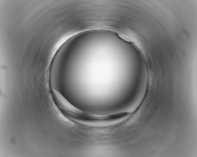 X0000091311102200708101459