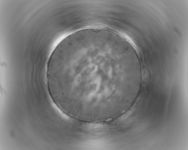 X0000091311103200708101459