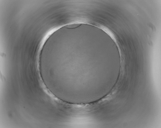 X0000091311104200708101459