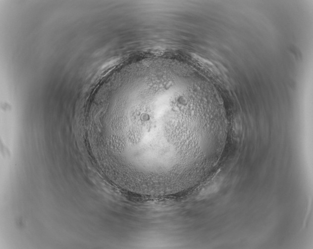 X0000091311105200708101458