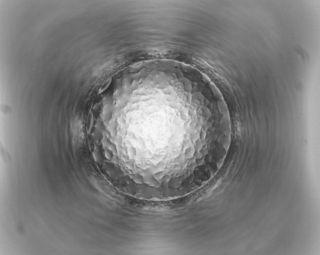 X0000091311106200708101458