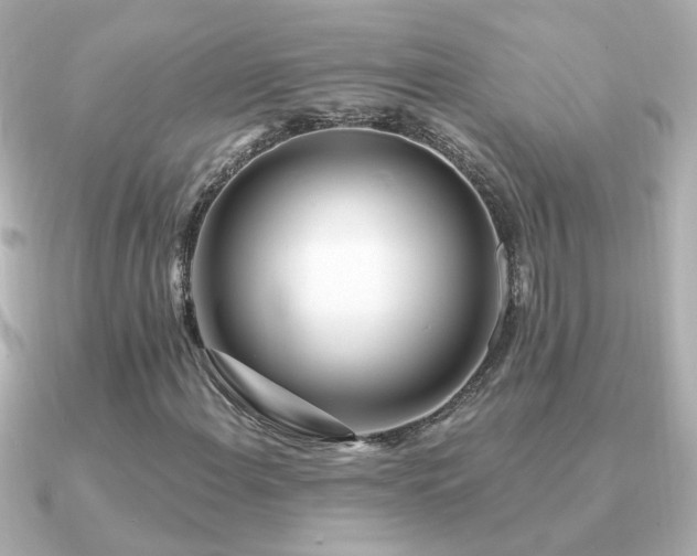 X0000091311108200708101458