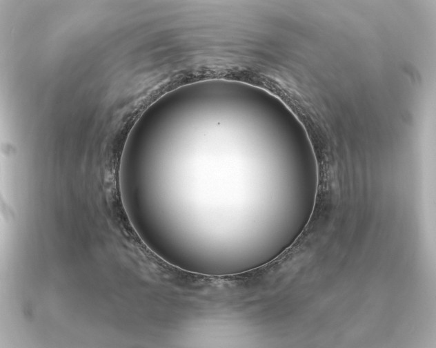 X0000091311109200708101458