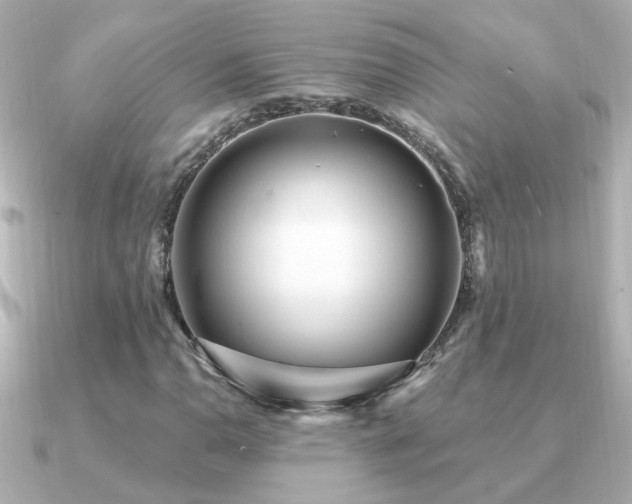X0000091311110200708101458
