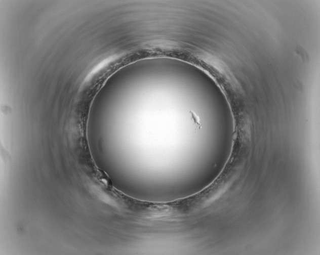 X0000091311112200708101458