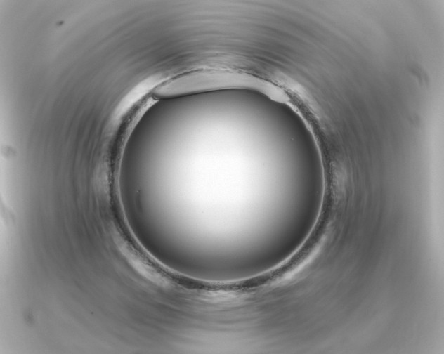 X0000091311114200708101458